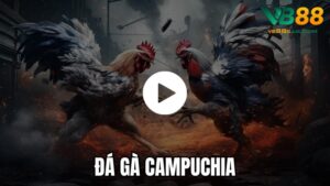 đá gà campuchia vb88