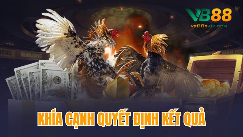 Thuật Ngữ Đá Gà VB88 Từ Cơ Bản Đến Nâng Cao Kê Thủ Cần Biết 5 Những khía cạnh quyết định kết quả đá gà