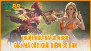 Thuật Ngữ Đá Gà VB88
