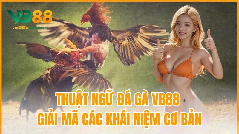 Thuật Ngữ Đá Gà VB88